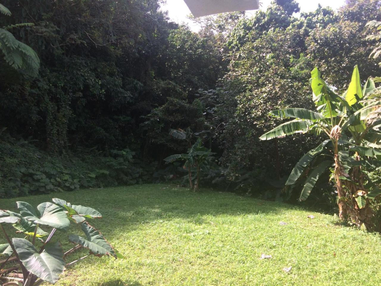 Villa Million Dollar View In Puerto Rico Luquillo Exterior foto